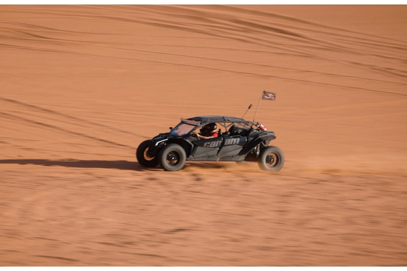 Trails & Dunes